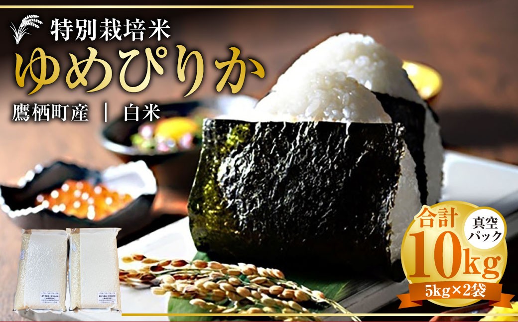
                  【令和7年産】 ゆめぴりか （白米） 真空パック 5kg×2袋 10kg 北海道 鷹栖町 たかすタロファーム 米 コメ こめ ご飯 白米 お米 ゆめぴりか コメ白米 白米
                