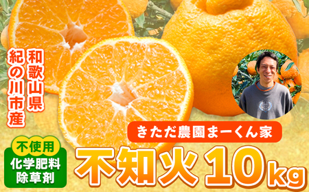 紀の川市不知火 まーくん家の不知火 10kg きただ農園まーくん家《2月末-3月下旬頃出荷》和歌山県 紀の川市 柑橘 化学肥料・除草剤不使用 しらぬい