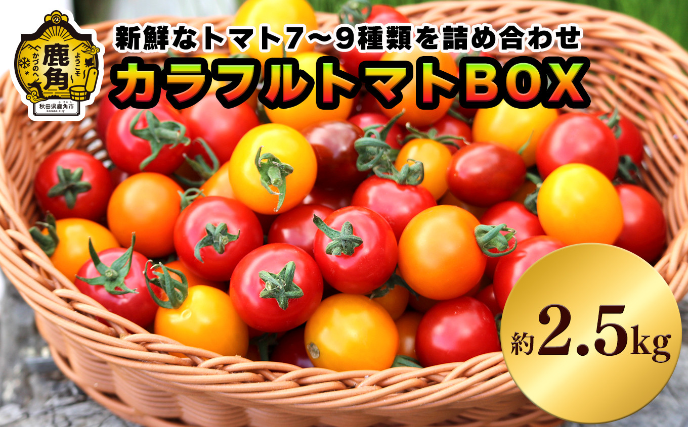 
            《先行予約》 秋田県鹿角産 カラフルトマトBOX 約2.5kg【早川農園】●2025年8月下旬発送開始  新鮮 野菜 安全 ミニトマト 大玉 中耳玉 詰め合わせ お中元 お歳暮 お取り寄せ 母の日 父の日 グルメ ギフト 故郷 秋田 あきた 鹿角市 鹿角 送料無料
          
