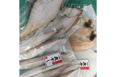 創業令和3年！何十年ぶりに浜田で鮮魚店誕生◎気合の入ったこだわり干物◎ 魚介 干物 ひもの 一夜干し おかず おつまみ 詰め合わせ セット 厳選 ギフト こだわり ふるさと納税 干物 【171_163