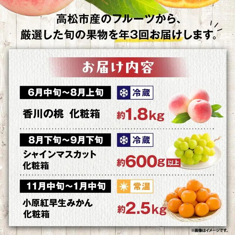 【ALL化粧箱】【3回お届け】高松市自慢のフルーツ定期便【H】| フルーツ
