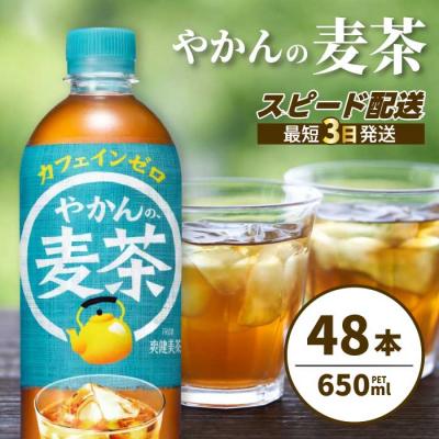 ふるさと納税 三原市 やかんの麦茶 from 爽健美茶 PET 650ml×48本(24本×2ケース) [014-061]