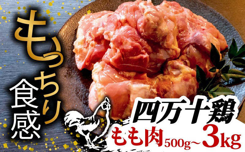 
            銘柄鶏 四万十鶏 もも肉 500g | 切身 カットでかんたん時短セット カット済み 鳥肉 とりにく 鶏もも 冷凍 国産 ブランド 唐揚げ 煮物 鍋 チキン 南蛮 高知県 須崎市 TM041
          