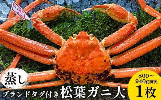 110.【蒸し】ブランドタグ付き松葉ガニ 大　800～940g前後　1枚《かに カニ 蟹 ズワイガニ》※2025年11月上旬～2026年3月上旬頃に順次発送予定 313726_AN107
