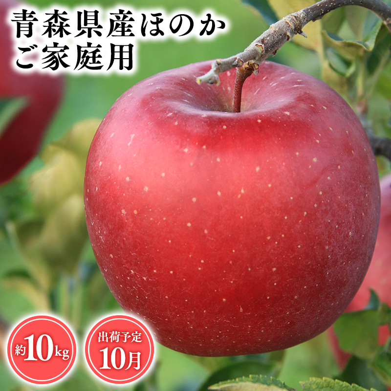 １０月発送　【訳あり】家庭用ほのか10ｋｇ　【そと川りんご園・１０月・青森県産・平川市・りんご・ほのか・10ｋｇ・訳あり・家庭用】