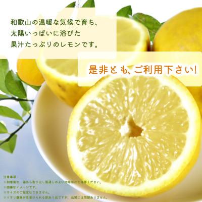 ふるさと納税 広川町 【2027年3月上旬より順次発送】【ご家庭用訳あり】紀州有田産レモン　2.5kg |  | 03