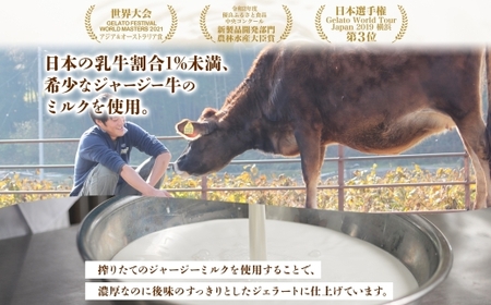 【ジェラート醍醐桜】恋するジャージー チョコチップ 6個セット / 岡山 真庭 醍醐桜 極上スイーツ 濃厚 プレゼント 贈答 デザート ギフト ジャージー牛 ミルク チョコレート ジェラート おやつ 