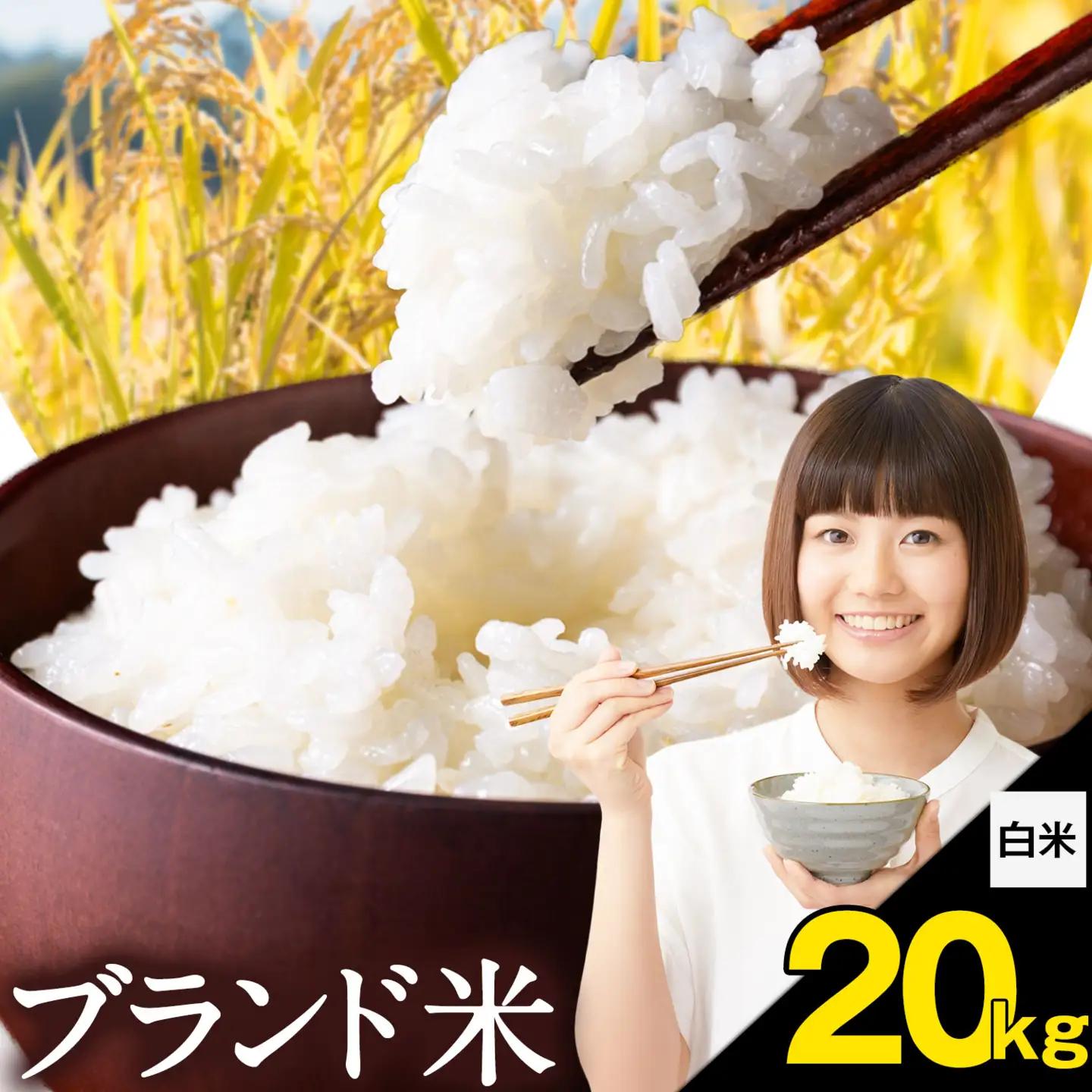 米  南関町 単一原料米 (ひのひかりorにこまるorくまさんの輝き) 白米 20kg《7-14日以内に出荷予定(土日祝除く)》熊本県産 国産 ひのひかり 白米 精米 こめ コメ 20キロ