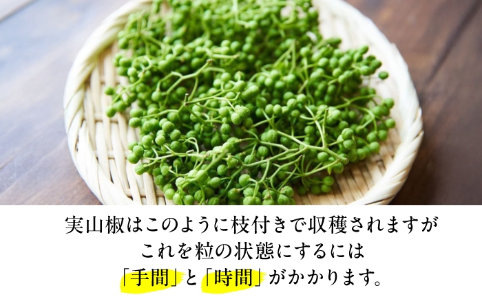 実山椒 青実山椒 山椒 下処理済み アク抜き済み 枝処理済み 下処理なし 小分けパック 真空パック 冷凍 長期保存 ストック