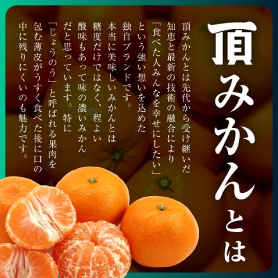 三代目がつくる【頂みかん】3kg×2箱【C31−21】【1503338】