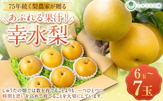 【先行予約】 しゅうたの畑 あふれる果汁 幸水梨 6玉から7玉 【2026年7月下旬～8月上旬より順次発送予定】 梨 なし ナシ 幸水 こうすい 果物 くだもの フルーツ 果実 ジューシー 産直農園 