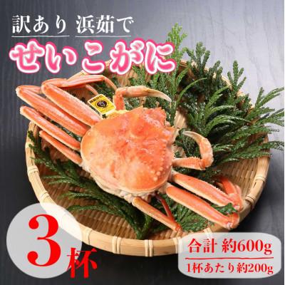 ふるさと納税 越前町 【2025年11月中旬頃より順次発送】【訳あり】《浜茹で》越前産せいこがに3杯(生で合計約600g)