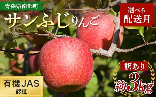 
                  ［選べる配送月］ 《訳あり》 有機JAS認証 サンふじ りんご 約3kg 【和楽堂りんご養生農苑】 青森りんご リンゴ 林檎 アップル 果物 くだもの フルーツ オーガニック 無農薬 おすすめ 家庭用 わけあり あおもり 青森県 三戸 南部町 F21U-694
                