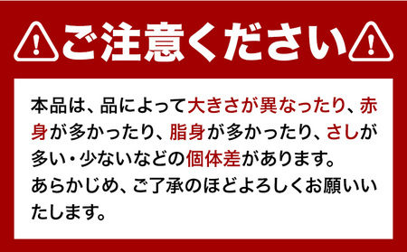 馬ひも 馬刺し用 320g(80g×4袋) 《7-14営業日以内に出荷》 熊本県 葦北郡 津奈木町 肉 馬ひも 馬肉