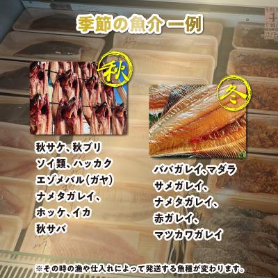 ふるさと納税 新ひだか町 <定期便12回>北海道産 旬のお魚 4〜5種 お楽しみ定期便 |  | 03