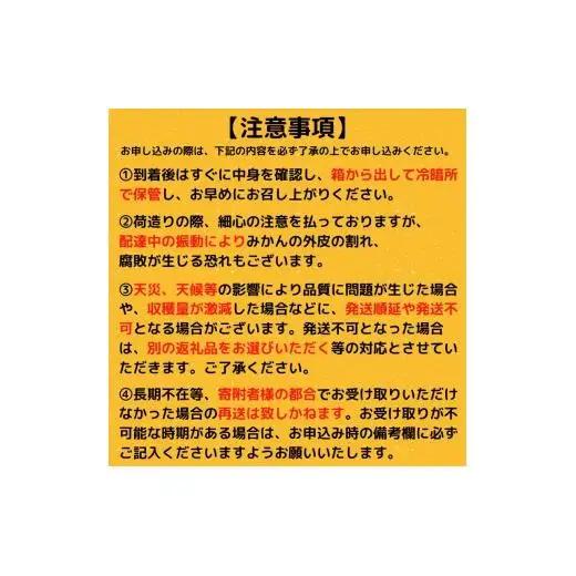 【数量限定】1月から発送開始 訳あり ポンカン 5kg 産地直送 季節限定 高知県産　