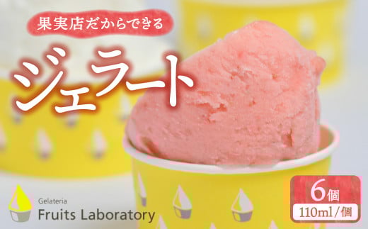オリジナルジェラート ６カップ 【Gelateria Fruits laboratory 】  宮城県 塩竈 塩釜市 gf00001