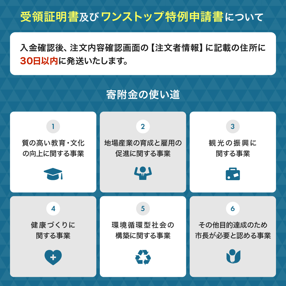 先行予約 訳あり みかん サイズミックス約10kg (3S〜3L）【2026年10月上旬〜2027年2月下旬配送予定】訳あり みかん ミカン 蜜柑 果物 フルーツ くだもの 柑橘国産 熊本県 宇城市 