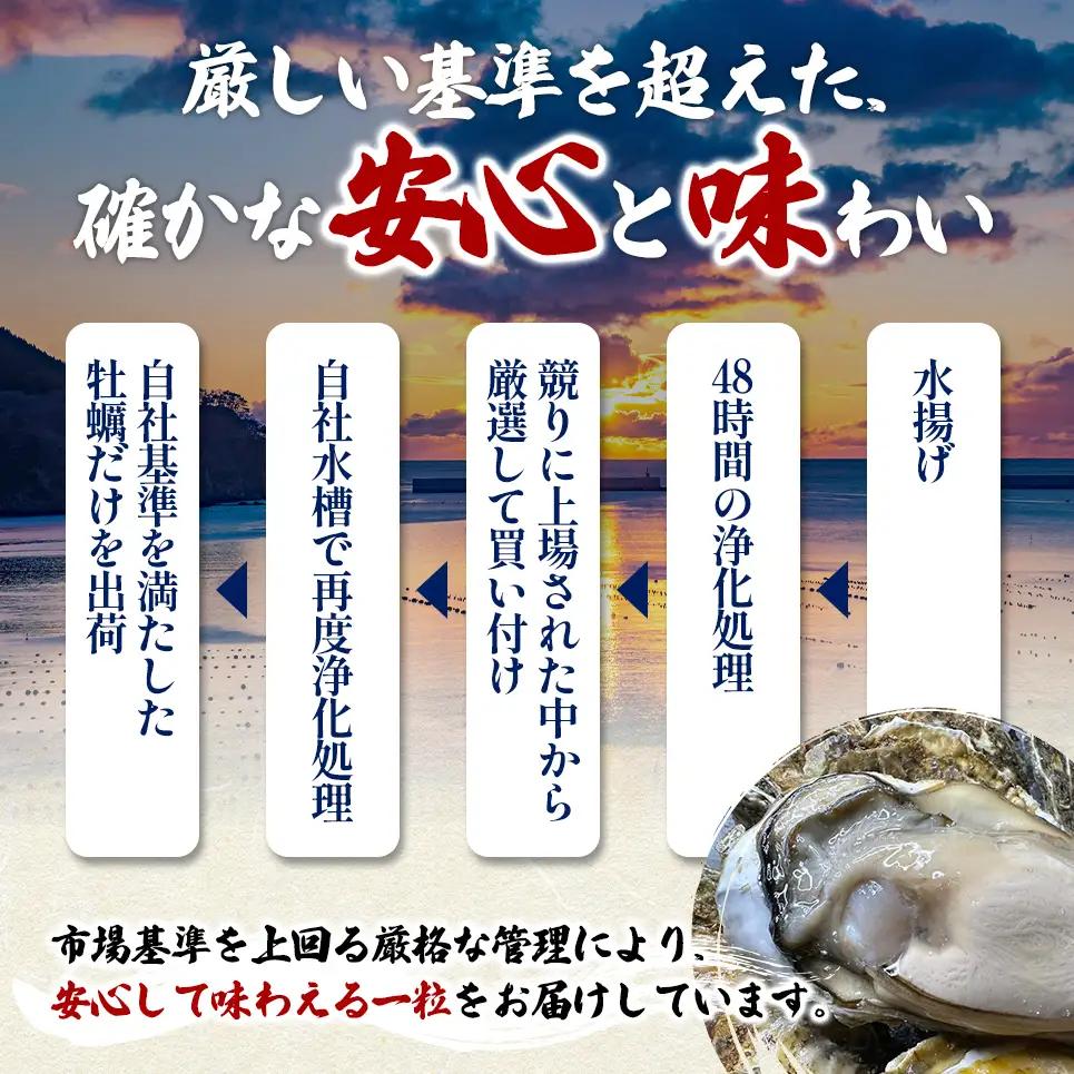 殻付き 牡蠣 3Lサイズ 20個 【光輝】マルえもん 生食用 牡蠣