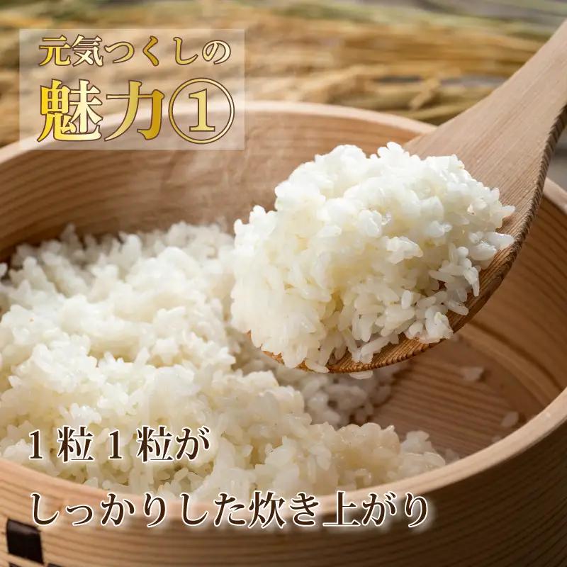 令和8年産新米予約 元気つくし 5kg お米 米 TJI