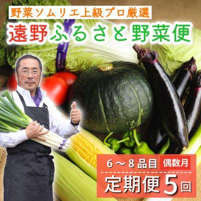 ふるさと納税 遠野市 【発送月固定定期便】遠野ふるさと野菜便 野菜ソムリエ 厳選 詰め合わせセット 岩手県遠野市 全5回