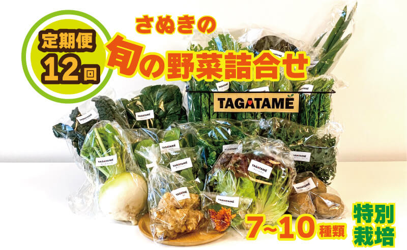 
定期便 12回 野菜 特別栽培 セット 1年間 詰め合わせ 栽培期間中農薬不使用 7～10種類 旬の採れたて お野菜 詰め合わせ セット（1～2名様）【 野菜 特別栽培 セット 詰め合わせ 栽培期間中農薬不使用 旬 採れたて さぬき市 ふるさとチョイス 】
