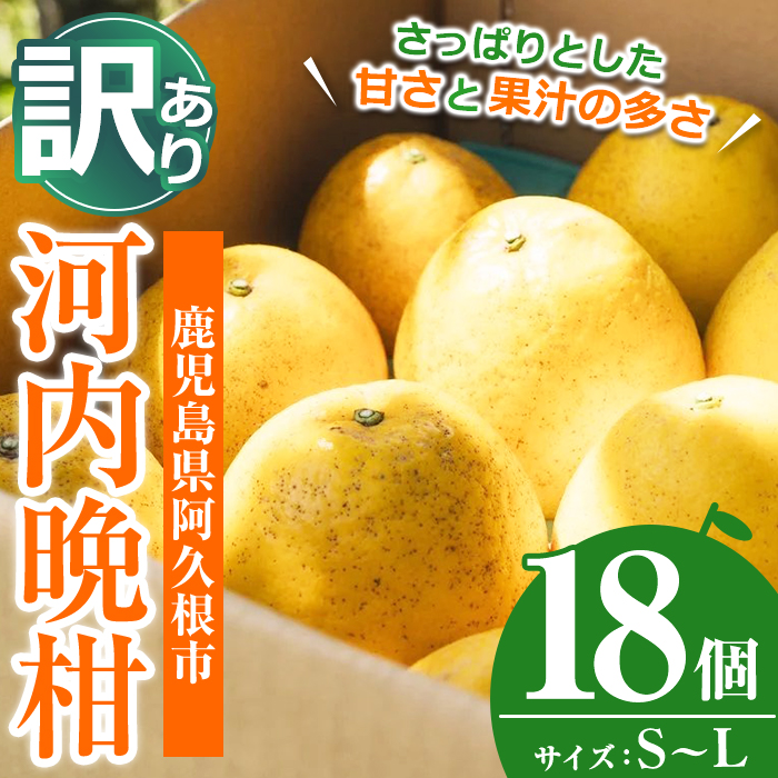 ＜先行予約受付中！2027年3月中旬以降順次発送予定＞訳あり 河内晩柑(S～L・18個・約6kg) 柑橘 フルーツ 果物 国産 みかん 期間限定 数量限定 【株式会社土曜日】akn069-13