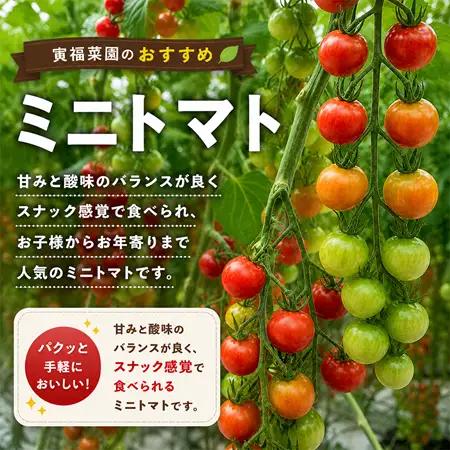 むつ市産　寅福菜園の「ミニトマト」4㎏