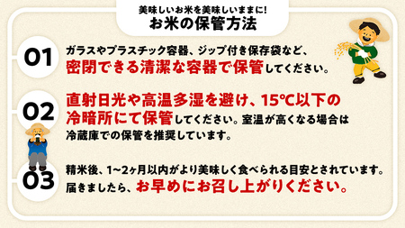 ＼ 新米先行予約 ／ 《 10月下期出荷 》 コシヒカリ 5kg 令和7年産精米 【 数量限定 】茨城県つくばみらい市産 米 コメ 単一米 13000 茨城県産 国産 発送 コスパ こしひかり