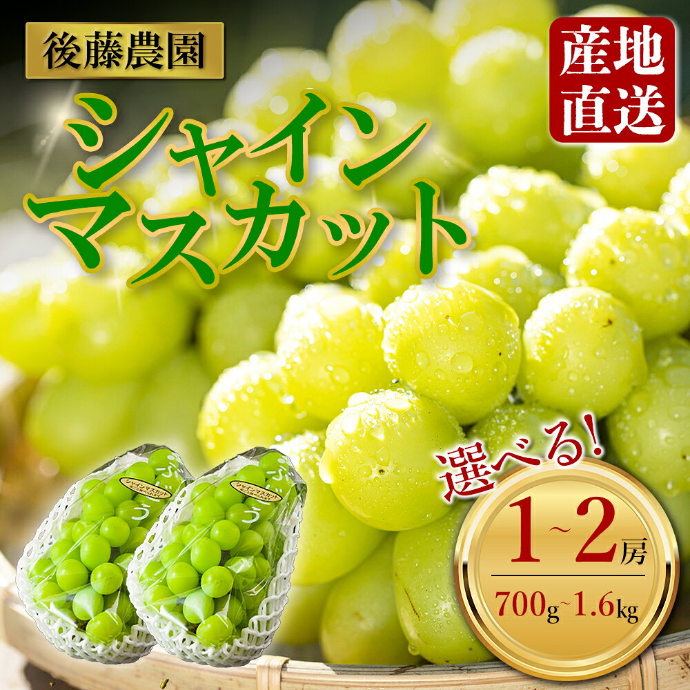 【ふるさと納税】 シャインマスカット 後藤農園 約700g～約1.6kg ぶどう 葡萄 ブドウ 1~2房 希少 新鮮 期間限定 皮ごとブドウ お取り寄せ おやつ 美味しい ジューシー みずみずしい 甘い サクサク 高級 豪華 熊本県阿蘇市