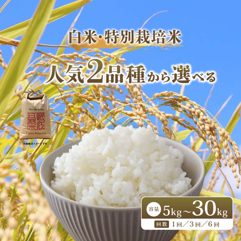 【ふるさと納税】 令和7年産 新米 特別栽培米 コシヒカリ みずかがみ 予約 米 5kg 10kg 30kg 白米 定期便 3ヶ月 6ヶ月 こしひかり ミズカガミ 国産 滋賀県 日野町 環境こだわり米 お米 おこめ こめ ごはん ご飯 産地直送 ふるさと納税 スーパーセール お買い物マラソン