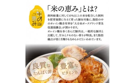 1177R_米の恵み豚/ロース,ヒレ贅沢とんかつ食べ尽し1.2kg