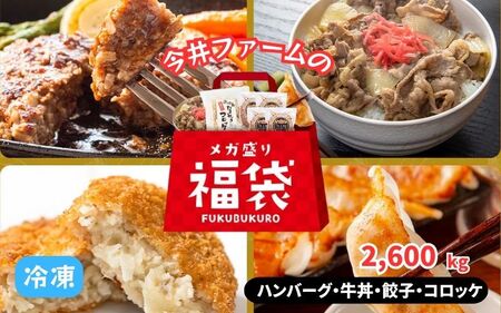 今井ファームのメガ盛り冷凍福袋 冷凍食品 / 冷凍食品