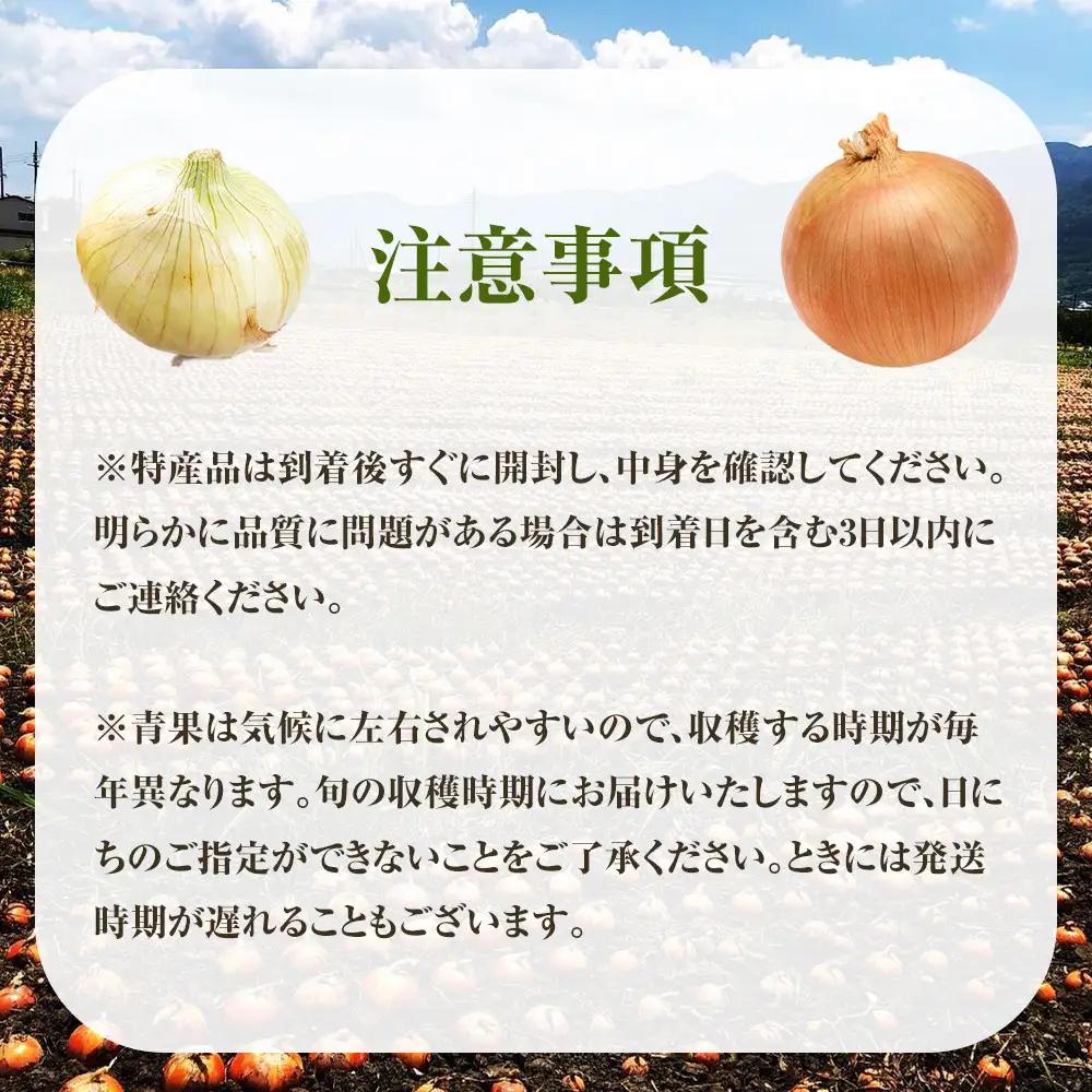 ［2026年発送分・先行予約］農家さん直送 低農薬玉ねぎ Lサイズ 10kg程度［4月中旬～7月中旬頃発送予定］［KF16］