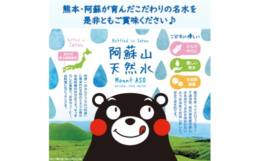 【ふるくま】定期便 3回 阿蘇山 天然水 500ml × 24本 1ケース  熊本 阿蘇 水 みず 飲料 くまモンラベル 熊本県 ミネラルウォーター 非加熱殺菌 賞味期限2年 730日 備蓄 保存用