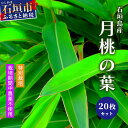 【ふるさと納税】自然栽培の「月桃の葉20枚」セット（特別栽培、栽培期間中農薬不使用）沖縄県石垣市 沖縄 石垣 石垣島 石垣島産 月桃 農薬不使用 化学肥料不使用 葉 離島のいいもの 沖縄いいもの石垣島 OI-15