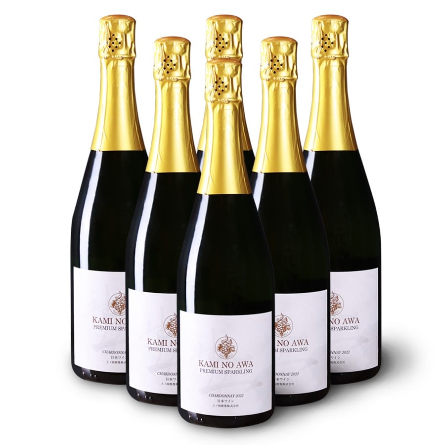 
            上ノ国ワイナリー「上の泡プレミアムスパークリングシャルドネ2022」　750ml×6本　北海道ワイン　スパークリングワイン　wine　WINE　お家飲み　パーティ　プレゼント　贈答　贈り物
          