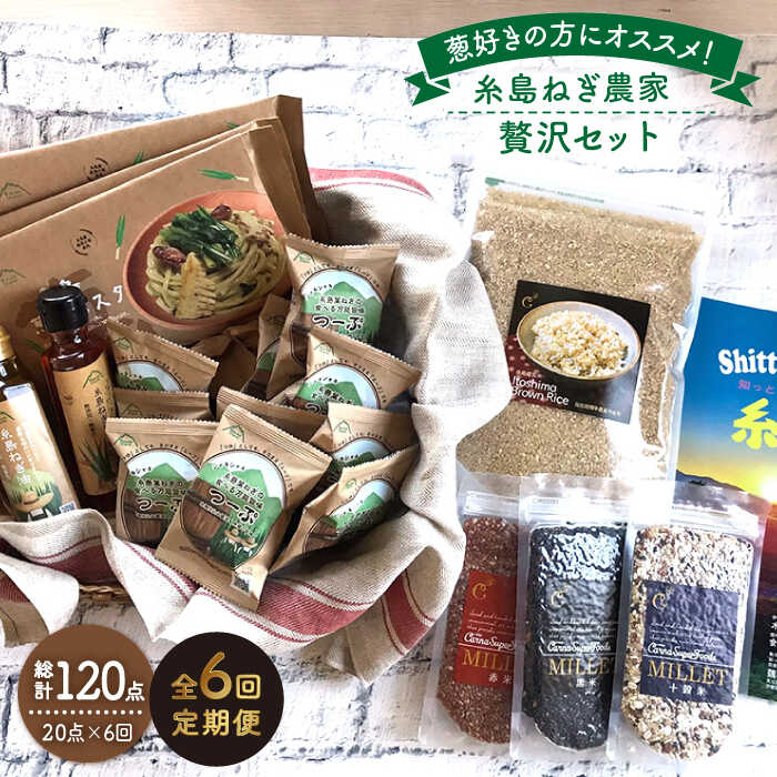 【ふるさと納税】【全6回定期便】糸島ねぎ農家贅沢セット 糸島市 / 株式会社Carna [ALA039] 259000円 26万円 常温