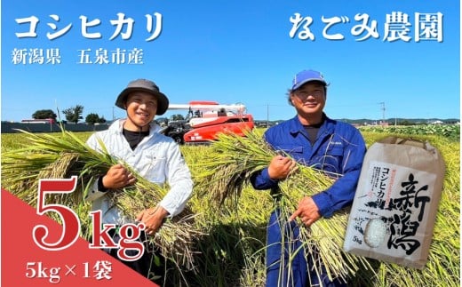 
                  【令和7年産】 なごみ農園のコシヒカリ 5kg (5kg×1袋) 緑白綬有功章受章 | 新潟産コシヒカリ 新潟県産コシヒカリ 新潟県産こしひかり 米 お米 こしひかり 白米 精米 ブランド米 新潟県 五泉市  なごみ農園
                