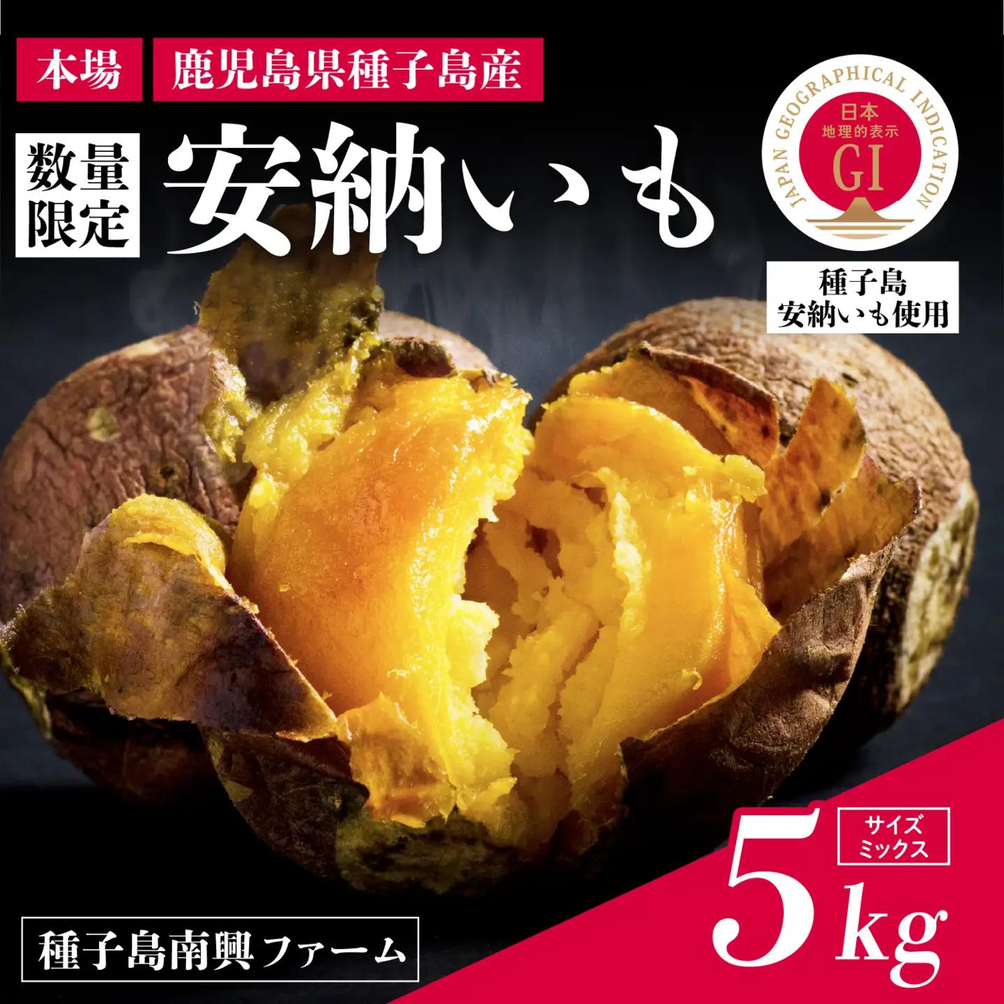【先行予約】種子島 安納いも 5kg（S～Lサイズ：100g～400g）（種子島南興ファーム）さつまいも 本場 安納芋 安納紅 安納こがね さつま芋 甘い ねっとり スイーツ おやつ グルメ お取り寄せ 人気 種子島産 返礼品 南種子町 鹿児島【南種子町観光物産館 トンミー市場】