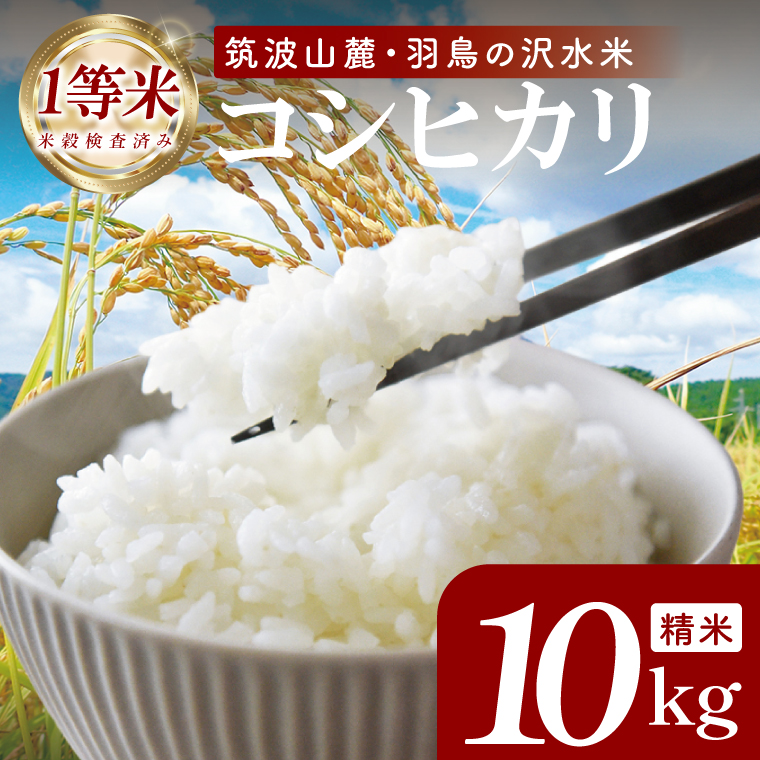 筑波山麓・羽鳥の沢水米 コシヒカリ 精米 10kg【茨城県共通返礼品：桜川市】|お米 米 こしひかり 茨城県 取手市（CA002）