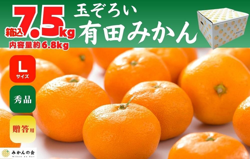 みかん Lサイズ 秀品 箱込 7.5kg (内容量約 6.8kg) 有田みかん 和歌山県産 産地直送 贈答用 ［2025年11月中旬より2026年1月中旬頃順次出荷予定］［みかんの会］ AX199
