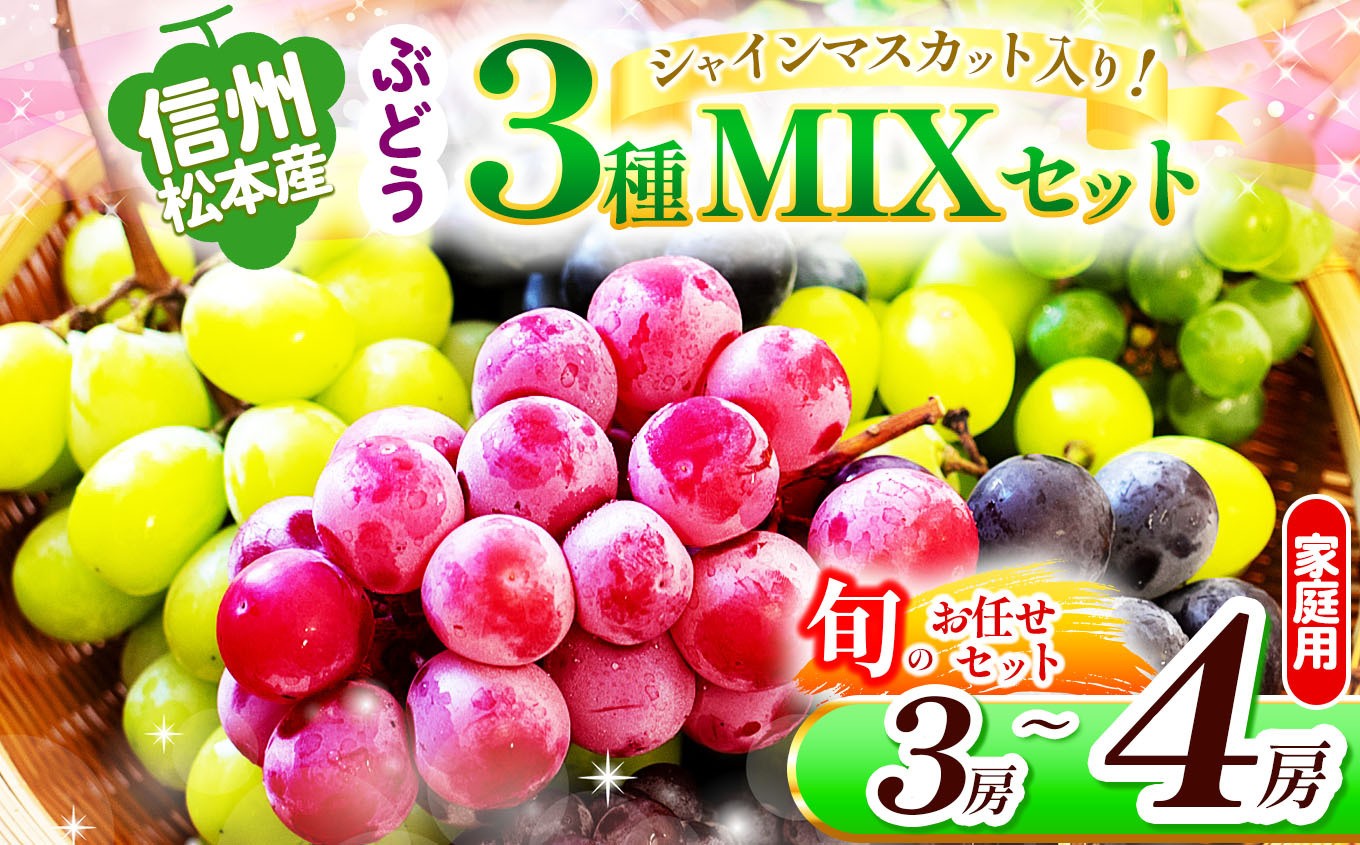
            信州松本産　ぶどう3種MIXセット（シャインマスカット入り）　3～４房(約1.8kg) 　お任せセット 家庭用 │ シャインマスカット マスカット ブドウ ぶどう 葡萄 お任せ セット 果物 秋 くだもの フルーツ 自然 旬 ご褒美 長野県 信州 松本 ふるさと納税
          