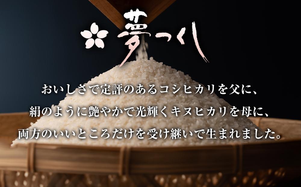 【令和7年産】福岡県産 米 夢つくし 15kg セット ( 5kg×3袋 )