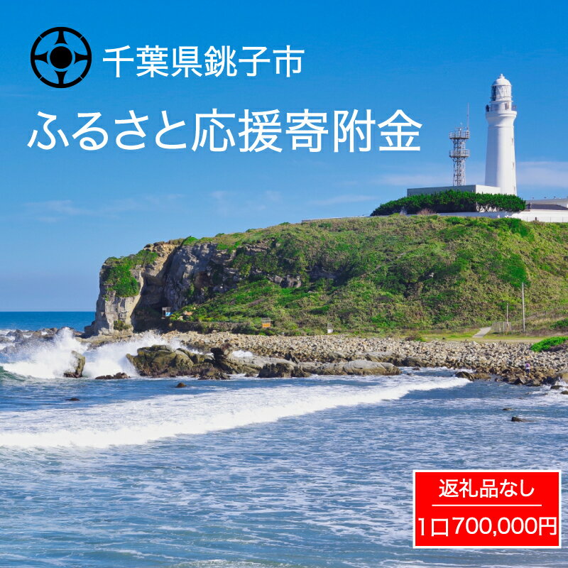 【ふるさと納税】 千葉県 銚子市 ふるさと 応援寄附金 700000円 返礼品なし （ご寄附のみとなります）