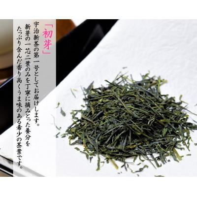 ふるさと納税 宇治田原町 【令和7年産　先行予約】京都茶匠きよ泉の宇治新茶3袋セット(宇治煎茶飲み比べセット　各80g) |  | 01