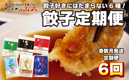 ぎょうざの山八★餃子定期便（年6回奇数月）【随時開始】[H7003]