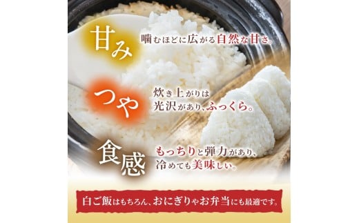 先行予約 ※3ヶ月定期便※ 葛城山麓米 ヒノヒカリ（白米）10kg ×3ヶ月 令和8年産 【2026年11月・12月・1月発送】／ 奈良 葛城 山麓米 産地直送 米 お米 新米 こめ 国産 甘い 美味