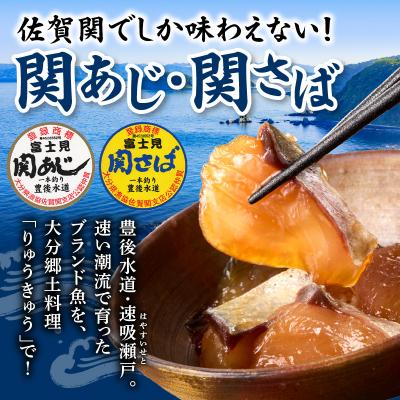 ふるさと納税 大分市 関あじ・関さばりゅうきゅうパック_E19002 |  | 01