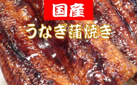 【ふるさと納税】 国産うなぎの蒲焼 約150g×2匹 うなぎ 鰻 150g×2匹 300g 国産 蒲焼 冷凍 特製タレ 山椒 付き うな重 うな丼 ひつまぶし 土用の丑の日 かばやき ご飯 米 ごはん 人気 高知県 安田町 TR-08